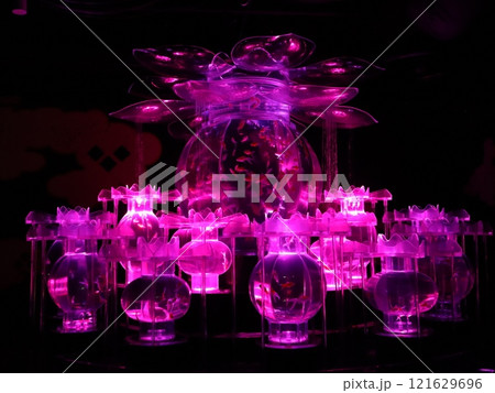 《2024年秋の金魚ショー》金魚、ライト、紅葉の絶妙の組み合わせ 《2024年秋の金魚ショー》金魚、ライト、紅葉の絶妙の組み合わせ 121629696