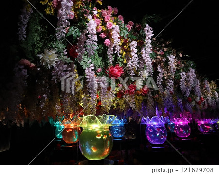 《2024年秋の金魚ショー》金魚、ライト、紅葉の絶妙の組み合わせ 121629708