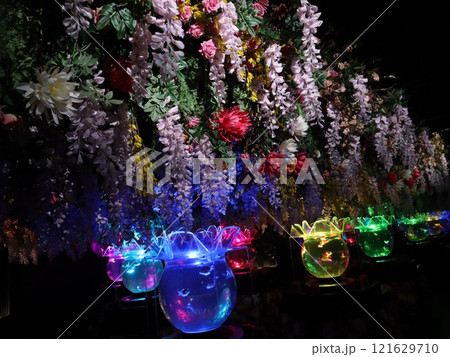 《2024年秋の金魚ショー》金魚、ライト、紅葉の絶妙の組み合わせ 121629710