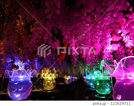《2024年秋の金魚ショー》金魚、ライト、紅葉の絶妙の組み合わせ 121629711