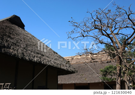 さいたま市緑区のくらしの博物館の風景 121630040