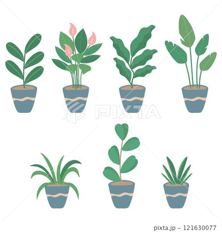 Green house plants with potted 121630077
