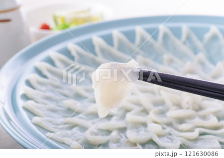 美味しそうなフグの刺身盛り（箸上げ） 121630086