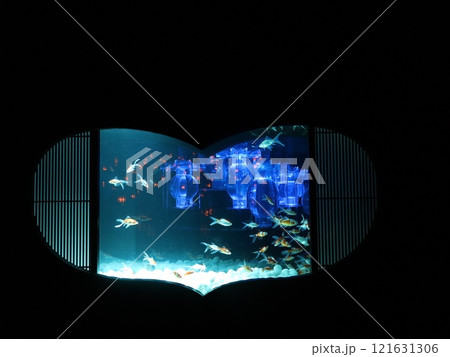 《2024年秋の金魚ショー》金魚、ライト、紅葉の絶妙の組み合わせ 《2024年秋の金魚ショー》金魚、ライト、紅葉の絶妙の組み合わせ 121631306