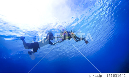 沖縄　渡嘉敷島の水中撮影　手をつないで親子で熱帯魚を観察 121631642