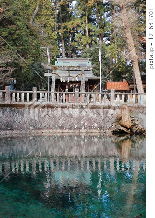 山口美祢別府弁天池2025⑤ 121631701