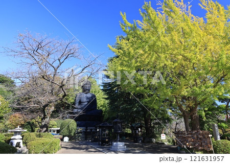 東京都板橋区の東京大仏の建つ風景 121631957