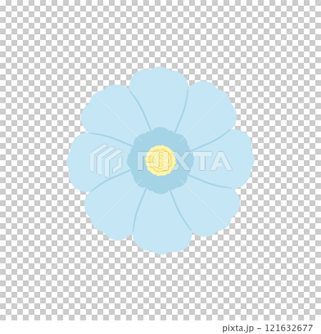 Blue flower illustration Blue flower illustration 121632677