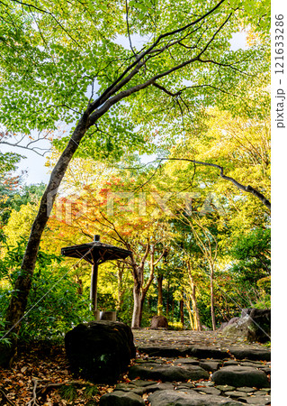 《平塚市総合公園》初秋の庭園の景色(神奈川県平塚市) 《平塚市総合公園》初秋の庭園の景色(神奈川県平塚市) 121633286