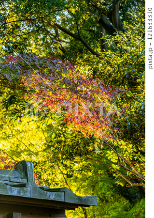 紅葉に包まれた秋のイメージ 紅葉に包まれた秋のイメージ 121633310