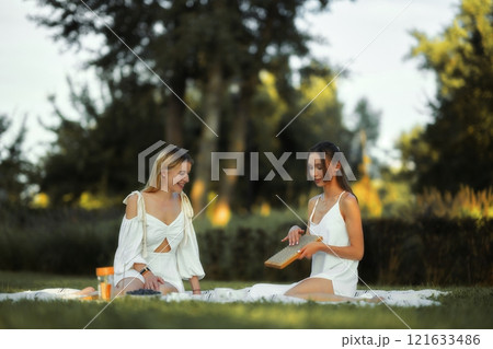 Two friends enjoy a picnic on a sunny day in a lush park setting 121633486