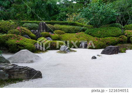 鎌倉 明月院の枯山水 121634051