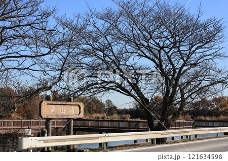 埼玉県白岡市の柴山沼の風景 121634598