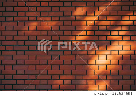 木漏れ日に照らされるレンガの壁面 木漏れ日に照らされるレンガの壁面 121634691