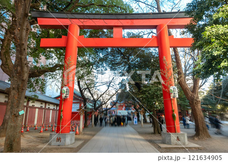 東京都新宿区歌舞伎町の花園神社 東京都新宿区歌舞伎町の花園神社 121634905