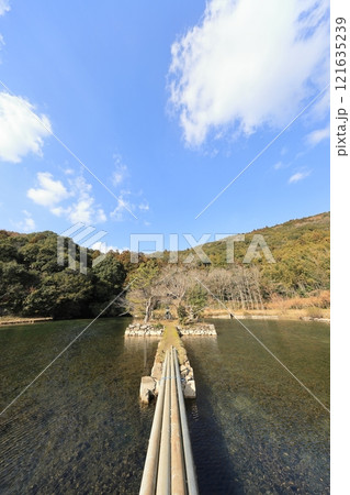 山口県美祢市_白水の池⑧ 121635239
