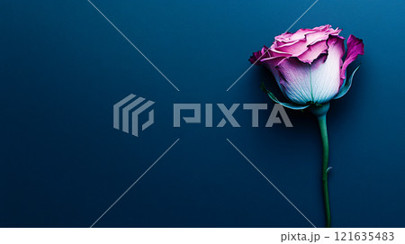 A single neon pink rose glows against a solid black background, creating a dark floral aesthetic 121635483