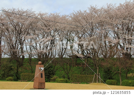 戦国武将 稲葉一鉄の城址(曽根城)散策・29 戦国武将 稲葉一鉄の城址(曽根城)散策・29 121635855