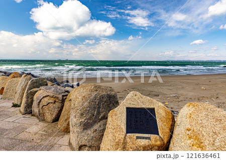 愛知県　恋路ヶ浜から望む青い海と空　 121636461