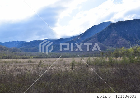 戦場ヶ原 121636633