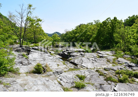 長瀞の岩畳 長瀞の岩畳 121636749