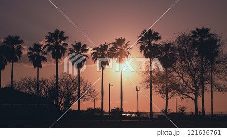 袖ヶ浦海浜公園夕景 121636761