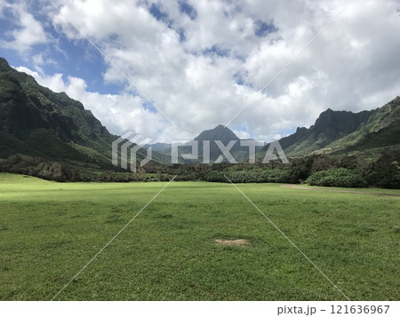 広大な草原と山々 広大な草原と山々 121636967