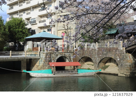 桜満開の水門川散策(岐阜県大垣市)・82 桜満開の水門川散策(岐阜県大垣市)・82 121637029