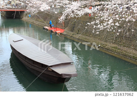 桜満開の水門川散策（岐阜県大垣市）・105 121637062