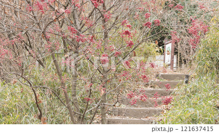 原風景の冬 121637415