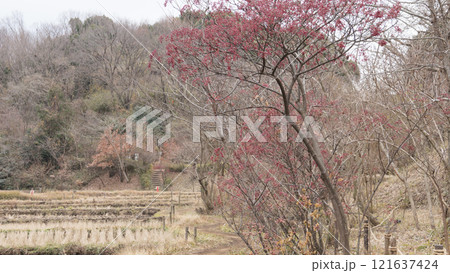 原風景の冬 121637424