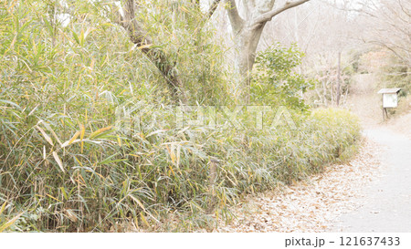 原風景の冬 121637433