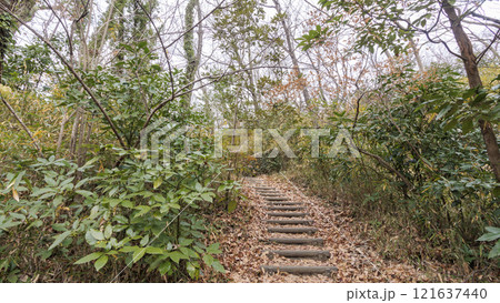 原風景の冬 121637440