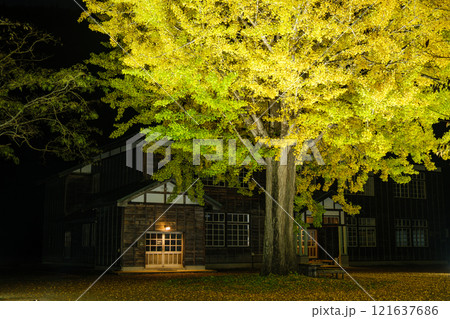 校庭のライトアップ 121637686