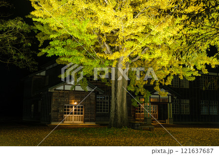 旧小学校のライトアップ 121637687