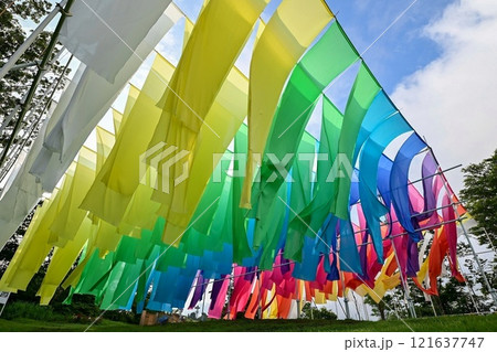 【滋賀・高島市】びわこ箱館山、ゴンドラに乗って山頂で過ごす素敵な時間 121637747