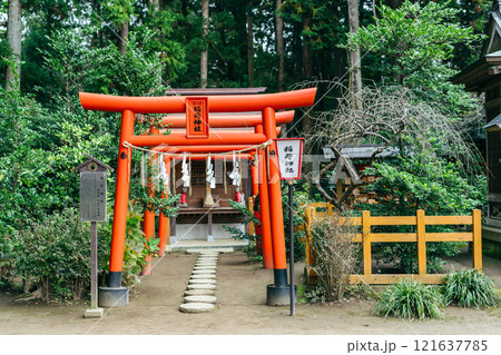 水戸八幡宮内の稲荷神社 赤い鳥居(茨城県水戸市) 水戸八幡宮内の稲荷神社 赤い鳥居(茨城県水戸市) 121637785