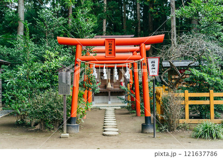 水戸八幡宮内の稲荷神社 赤い鳥居(茨城県水戸市) 水戸八幡宮内の稲荷神社 赤い鳥居(茨城県水戸市) 121637786