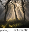 tree, sunset, nature, trees, landscape, sun, forest, sky, sunrise, light, silhouette, autumn, sunlight, mist, fog, morning, branch, winter, scene, green, park, fall, beautiful 121637800