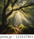 tree, sunset, nature, trees, landscape, sun, forest, sky, sunrise, light, silhouette, autumn, sunlight, mist, fog, morning, branch, winter, scene, green, park, fall, beautiful 121637803
