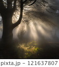 tree, sunset, nature, trees, landscape, sun, forest, sky, sunrise, light, silhouette, autumn, sunlight, mist, fog, morning, branch, winter, scene, green, park, fall, beautiful 121637807