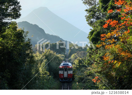 開聞岳バックに森の線路を進む旧国鉄色車両（JR九州） 121638014