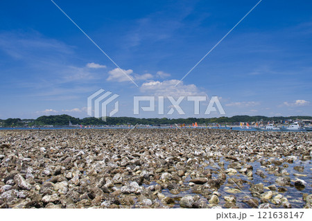 【鎌倉市】干潮時の和賀江島 121638147