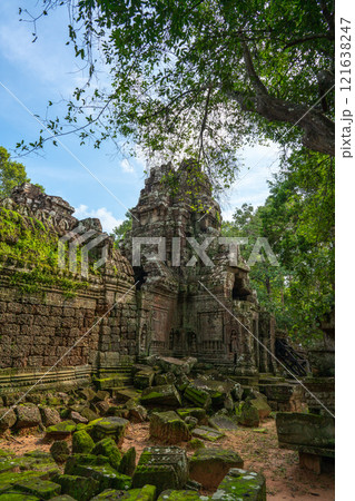 密林に浸食されたアンコール遺跡　タ・ソム 121638247