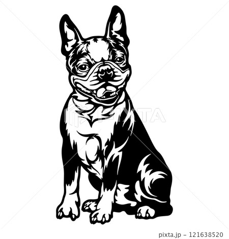 Boston Terrier Dog Breed - Pet Vector Cut file, Dog Silhouette Stencil - Cricut file Boston Terrier Dog Breed - Pet Vector Cut file, Dog Silhouette Stencil - Cricut file 121638520