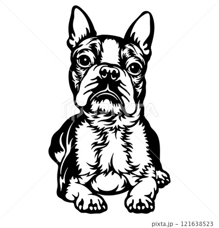 Boston Terrier Dog Breed - Pet Vector Cut file, Dog Silhouette Stencil - Cricut file 121638523