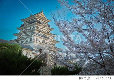 桜に彩られた福山城 桜に彩られた福山城 121638773