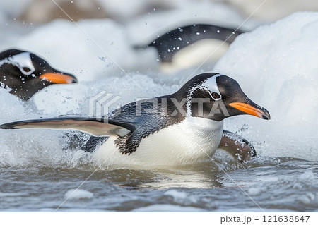 Majestic Grand Penguin Diving into Icy Waters of the Polar Region A Stunning Arctic Scene 121638847