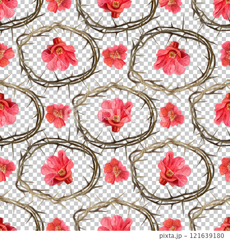 Crown of thorns with red pomegranate flowers watercolor seamless pattern isolated on white. High quality art for posters, stickers, Easter, Passover, Holy Thursday, christening baptism decor and 121639180