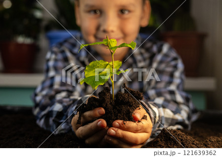 A young man grows a tree seedling, helping to preserve the planet and nature. The child smiles and holds a small tree in the ground in his hands. Tree seedling, saving nature, saving the planet. 121639362